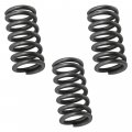 Caltric Clutch Spring Compatible With Honda Crf300l 2021 2022 2023 Thickness 0 10