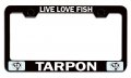 Live Love Fish Tarpon Fishing Black Metal License Plate Frame Tag Holder Universal Fit For Us And Canada Vehicles 12 5 X 6 In 