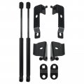 Autokay Hoods Gas Struts Lift Support Fbn-nh-d40 Compatible With Nissan Frontier Navara D40 2004-2018 2pcs