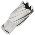 1-1 16 In Diameter Rotabroach 12134hou With 1 D O C 3 4 Straight Shank Hardened High Speed Tool Steel For Metal And 