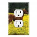 Graphics Wallplates Cute Baby Horse Running With Mom Duplex Outlet Wall Plate Cover 