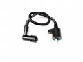 Ignition Coil For Honda Ruckus Nps50 Nps 50 Scooter New 