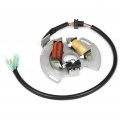 Aintier Powersports Stators Fit For 1990-1996 Yamaha Blaster 200