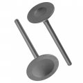 Caltric Intake And Exhaust Valve For Honda Trx420te Trx420tm Fourtrax Rancher Es 2009-2013