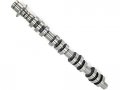Right Passenger Engine Camshaft Stock Replacement For 2005-2010 Ford Mustang 