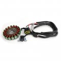 Areyourshop Generator Stator For Yamaha Wr250r 2007-2017 Wr250x 2007-2012 2014 2016-2017 3d7-81410-00 3d7-81410-01