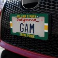 College Of William Mary Stripe License Plate Tag Frame