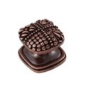 Vicenza Designs K1134 Medici Square Knob Small Antique Copper 