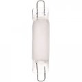 Ocsparts 5w 12v Rigid Loop Xenon Frosted Bulb Pack Of 50 