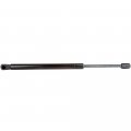 Ocpty 2 Hood Liftgate Lift Supports Gas Springs Struts Shocks For Nissan Murano 2005-2007