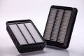 Premium Guard Pa5789 Air Filter 