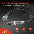 A-premium O2 Oxygen Sensor Compatible With Honda Acura Vehicles Civic Cr-v Rsx001 2002 2003 2004 2005-1 3l 1 7l 2 0l 2 4l