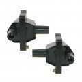Ignition Coil Pair Set Of 2 For Mercedes Benz E320 S320 Sl320 300 C230 C280 