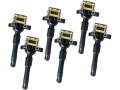 Direct Ignition Coil Kit Set Of 6 For 2001-2002 Bmw 330ci With Or Bremi Coils Up To 08 31 2002 