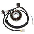Electrosport Esg163 Stator Polaris 500 