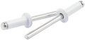 Allstar Performance All18116 White 1 4 To 3 8 Grip Range Small Head Rivet With Aluminum Mandrel Pack Of 250 