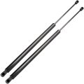 25 06 Liftgate 4590 Sg229013 Lift Supports Struts Fit For Toyota Sienna 2004-2010 595n 134lbs