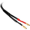 Parts Express Cable Pants 10mm 2-conductor Black Pack Of 10 