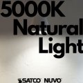 Satco S8687 Candelabra Bulb In Light Finish 2 38 Inches Frosted