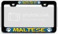 Protected By Maltese Dogs Pets Bl 3d Metal License Plate Frame Auto Suv Truck Tag Holder I18 