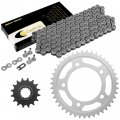 Caltric Drive Chain And Sprockets Kit Compatible With Honda Cb900f 919 Hornet 2002 2003 2004 2005 2006 2007
