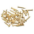 35pcs Small Tiny Nails 2x15mm Dxl Brass Hardware Round Head Nail For Wooden Diy Projects Decorative Boxes Household Tone 