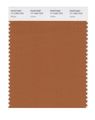 Pantone Smart 17-1340x Color Swatch Card Adobe 