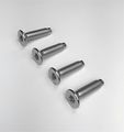 4 Ea 1994-2004 Jeep Wrangler Yj Tj Stainless Steel Tail Gate Torx Screws 