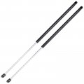 Lift Supports Gas Springs Struts Shocks 6333 Pm1102 Sg229024 5344006050b 5345006042 5345006041 Strut Fits For Toyota Camry 