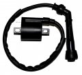 Zoom Parts Magneto Stator Ignition Coil For Yamaha Big Bear 400 2006 2007 2008 2009 2010 2011