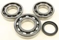 Crankshaft Bearing And Seal Kit For Polaris Trail Boss 325 2000-2002 Atv Part 22-41085 