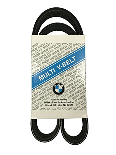 Ribbed V-belt