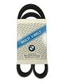 Ribbed V-belt 