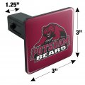 Graphics More State University Of New York At Potsdam Primary Logo Tow Trailer Hitch Cover Plug Insert