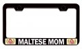 Maltese Mom Mothers Day Bl Steel Auto Suv License Plate Frame Tag Holder 