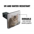 Shorthair Tabby Kitten Cat Computer Mouse Keyboard Tow Trailer Hitch Cover Plug Insert
