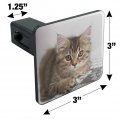 Shorthair Tabby Kitten Cat Computer Mouse Keyboard Tow Trailer Hitch Cover Plug Insert