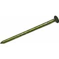 Do It 1 Lb Vinyl-coated Sinker Nail 
