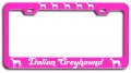 Italian Greyhound Dogs Pets Pn Metal License Plate Frame Tag Holder M54 