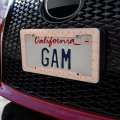 Painterly Citrus Oranges Pattern License Plate Tag Frame