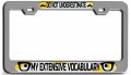 Do Not Underestimate My Extensive Vocabulary Geek Ch Steel License Plate Frame Raised Epoxy Style Tag Holder 