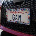 Hot Air Balloons Pattern License Plate Tag Frame