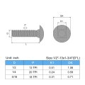 1 2-13x1-3 4 In Carriage Bolt 6pcs Round Head Square Neck Screws 304 Stainless Steel Fully Threaded Silver