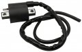 Ignition Coil For Polaris Xplorer 300 1996-1999 