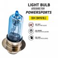 Niche Headlight Bulb For Yamaha Kodiak 450 Honda Fourtrax 300 Foreman Rancher 400 Suzuki Kawasaki Can-am 2 Pack