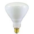 100br40 Fl Volts 130v Watts 100w Amps 0 770 Type 