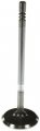 Melling V2008 Stock Replacement Engine Intake Valve 