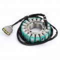 Topteng Magneto Stator Ignition Coil Motorcycle Generator Engine Fits For Bmw F750gs K80 2016-2020 F850gs K81 2016-2019