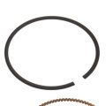 Engine Piston Ring Set For Cadillac Escalade 2002 To 2006 Alx-pau-ac-19178307-cla10 Standard Style Black Replacement Part