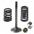 Caltric Intake Valve Kit Compatible With Yamaha Kodiak 400 2x4 4x4 1993 1994 1995 1996 1997-2002